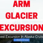 Best Excursion in Alaska Cruise
