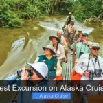 Best Excursion on Alaska Cruise
