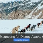 Best Excursions for Disney Alaska Cruise