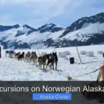 Best Excursions on Norwegian Alaska Cruise