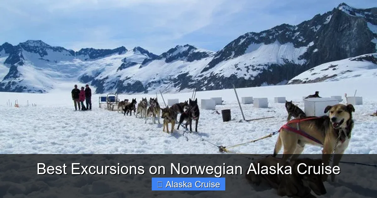 Best Excursions on Norwegian Alaska Cruise