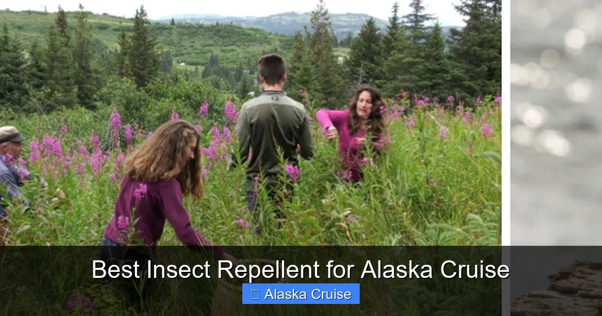 Best Insect Repellent for Alaska Cruise