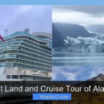 Best Land and Cruise Tour of Alaska