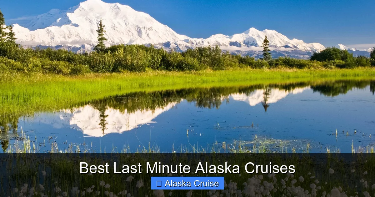 Best Last Minute Alaska Cruises