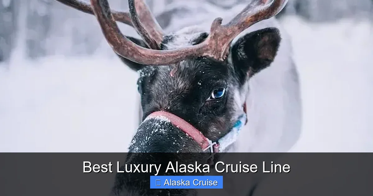 Best Luxury Alaska Cruise Line