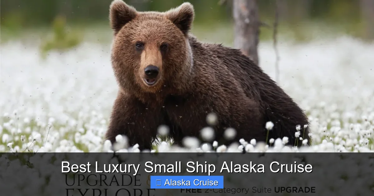 Best Luxury Small Ship Alaska Cruise