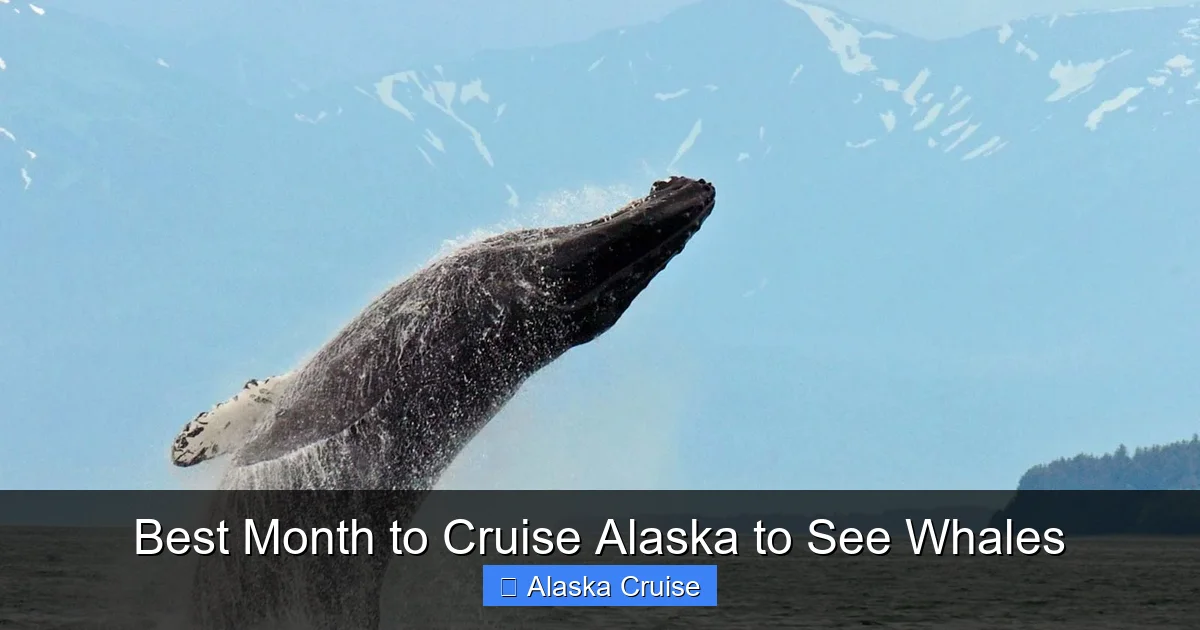 Best Month to Cruise Alaska to See Whales