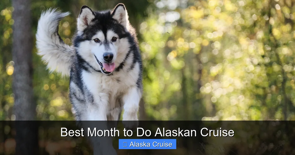 Best Month to Do Alaskan Cruise