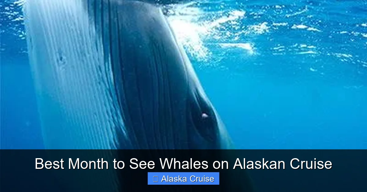 Best Month to See Whales on Alaskan Cruise
