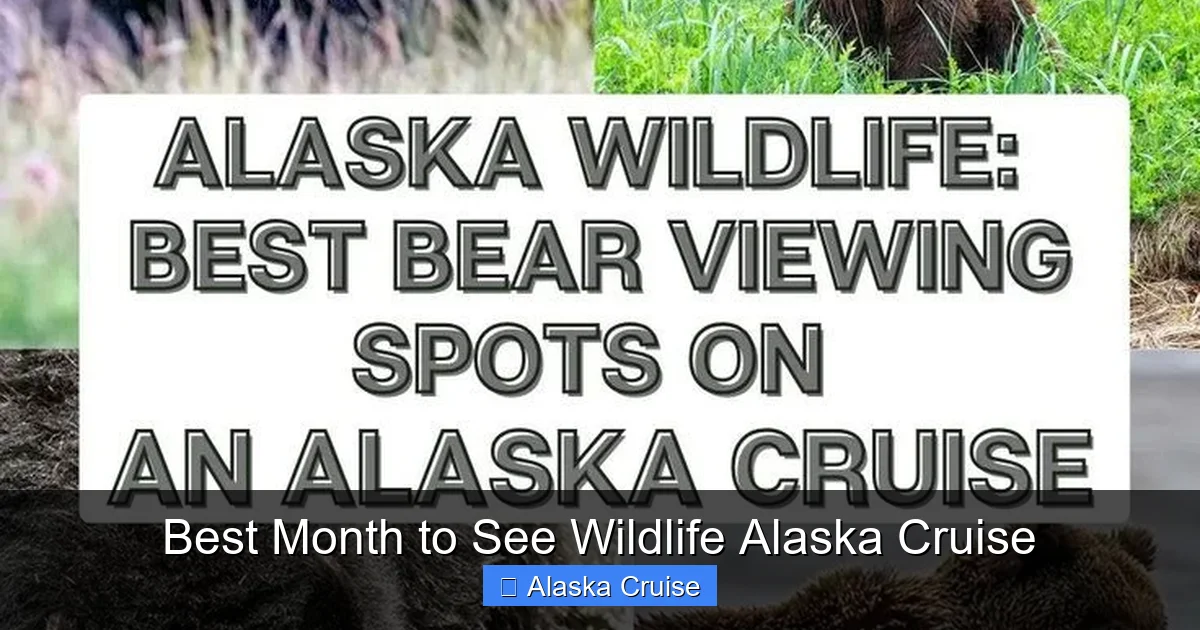 Best Month to See Wildlife Alaska Cruise
