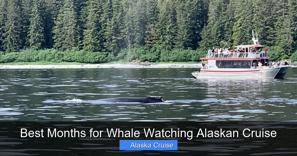 Best Months for Whale Watching Alaskan Cruise