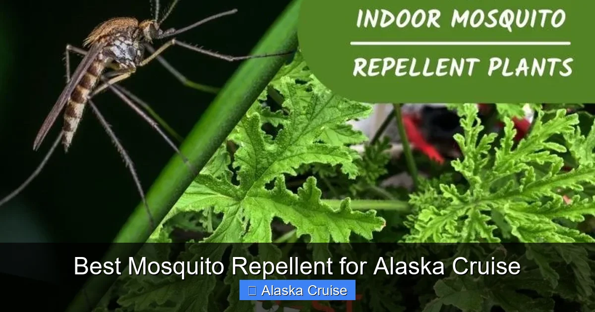 Best Mosquito Repellent for Alaska Cruise