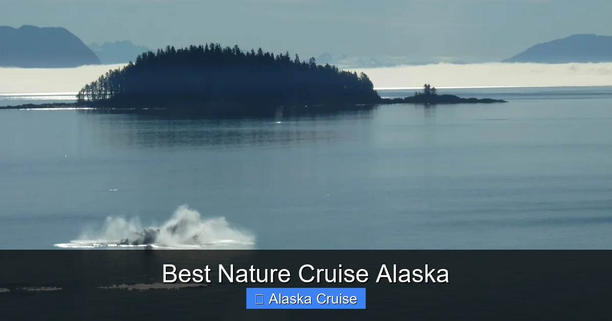 Best Nature Cruise Alaska