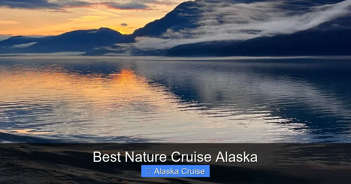 Best Nature Cruise Alaska