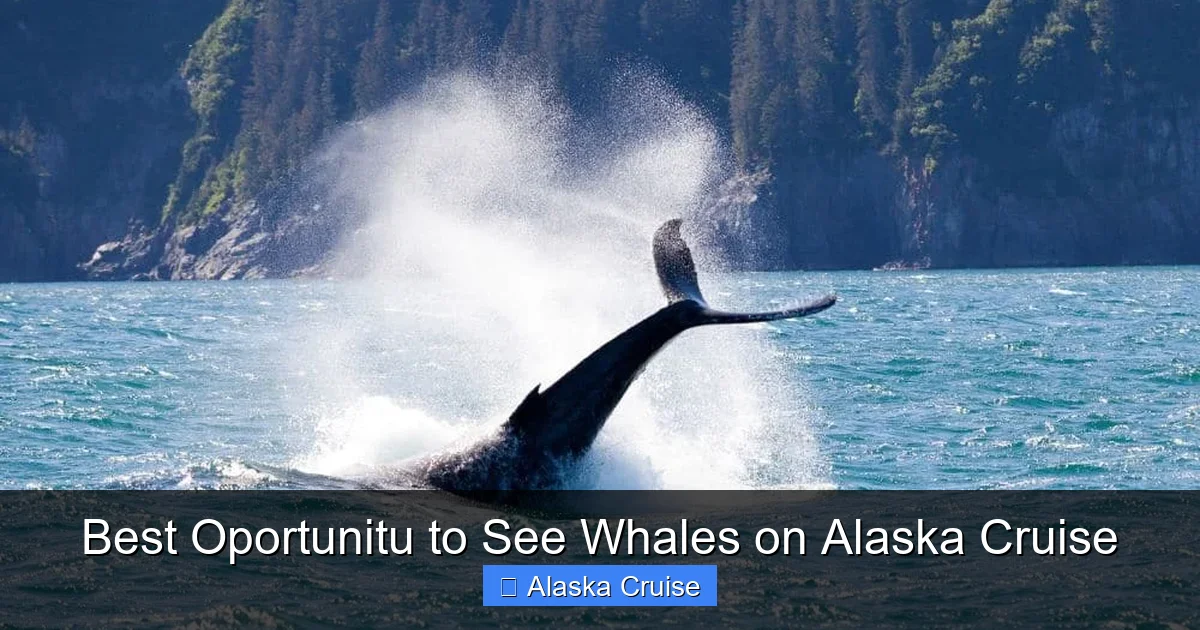 Best Oportunitu to See Whales on Alaska Cruise