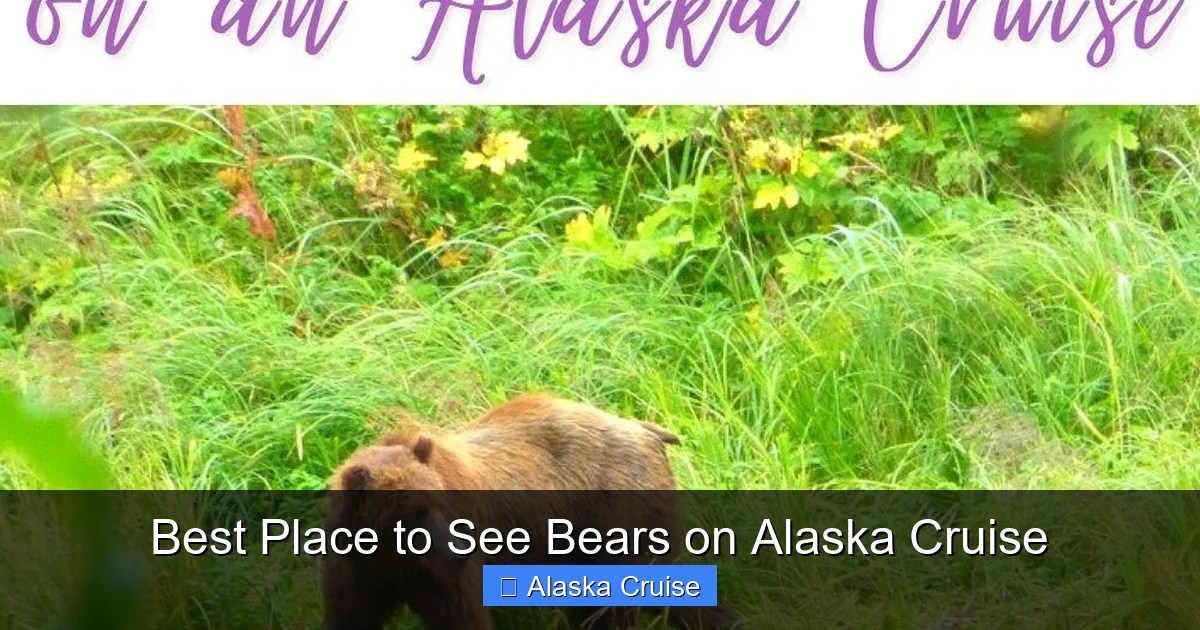 Best Place to See Bears on Alaska Cruise
