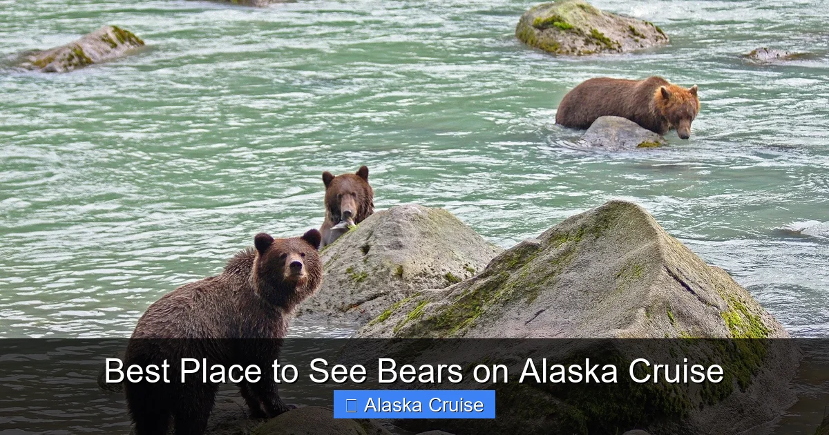 Best Place to See Bears on Alaska Cruise