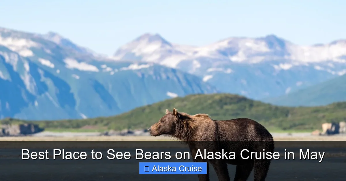 Best Place to See Bears on Alaska Cruise in May