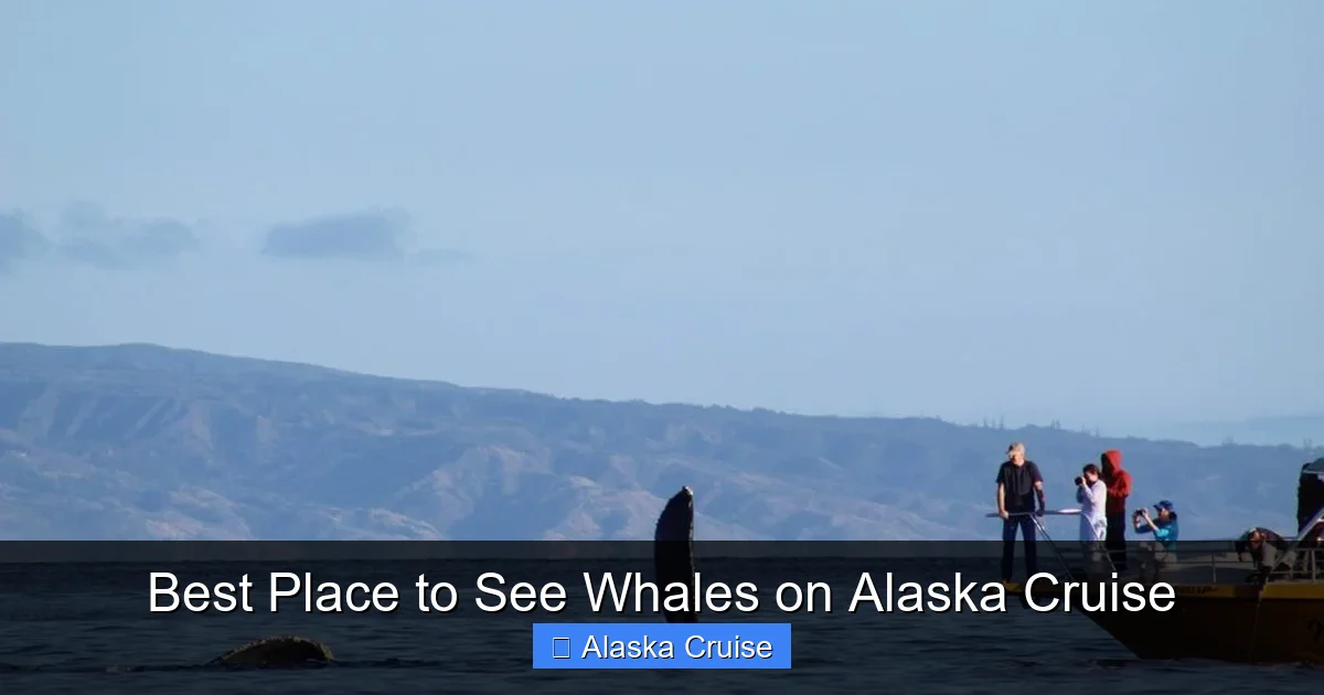 Best Place to See Whales on Alaska Cruise