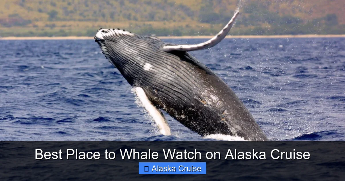 Best Place to Whale Watch on Alaska Cruise