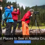 Best Places to See in Alaska Cruise