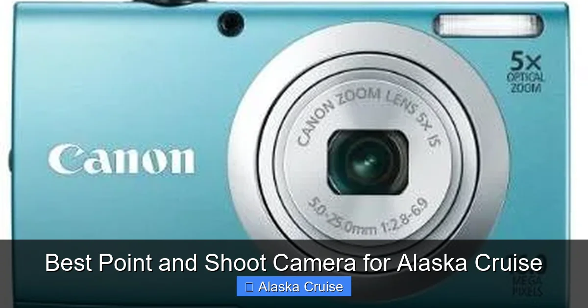 Best Point and Shoot Camera for Alaska Cruise